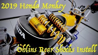 2019 Honda Monkey Ohlins Suspension/Rear Shocks Upgrade Install (1st Monkey Mod)