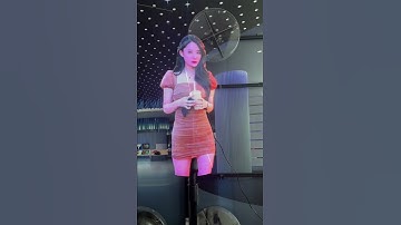 Advertising 3D Hologram Fan Holographic Projector 3D Holographic Display