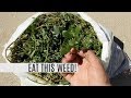 Harvesting 5lbs of purslane in 5 minutes this weed is a superfood