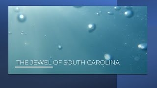 WELCOME TO LAKE MURRAY COUNTRY! #LakeMurraySC 🌊