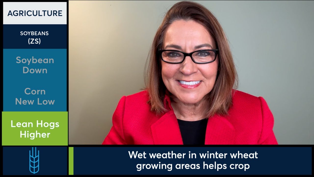 Soybeans, corn & wheat trade lower across board; 1/8/24 YouTube