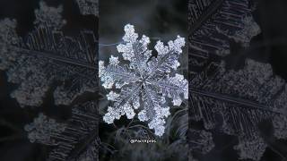 ❄️🏔️ Giant Snowflake Alert! The Enormous Snowfall Record in Montana #snowflake  #snowfallrecords