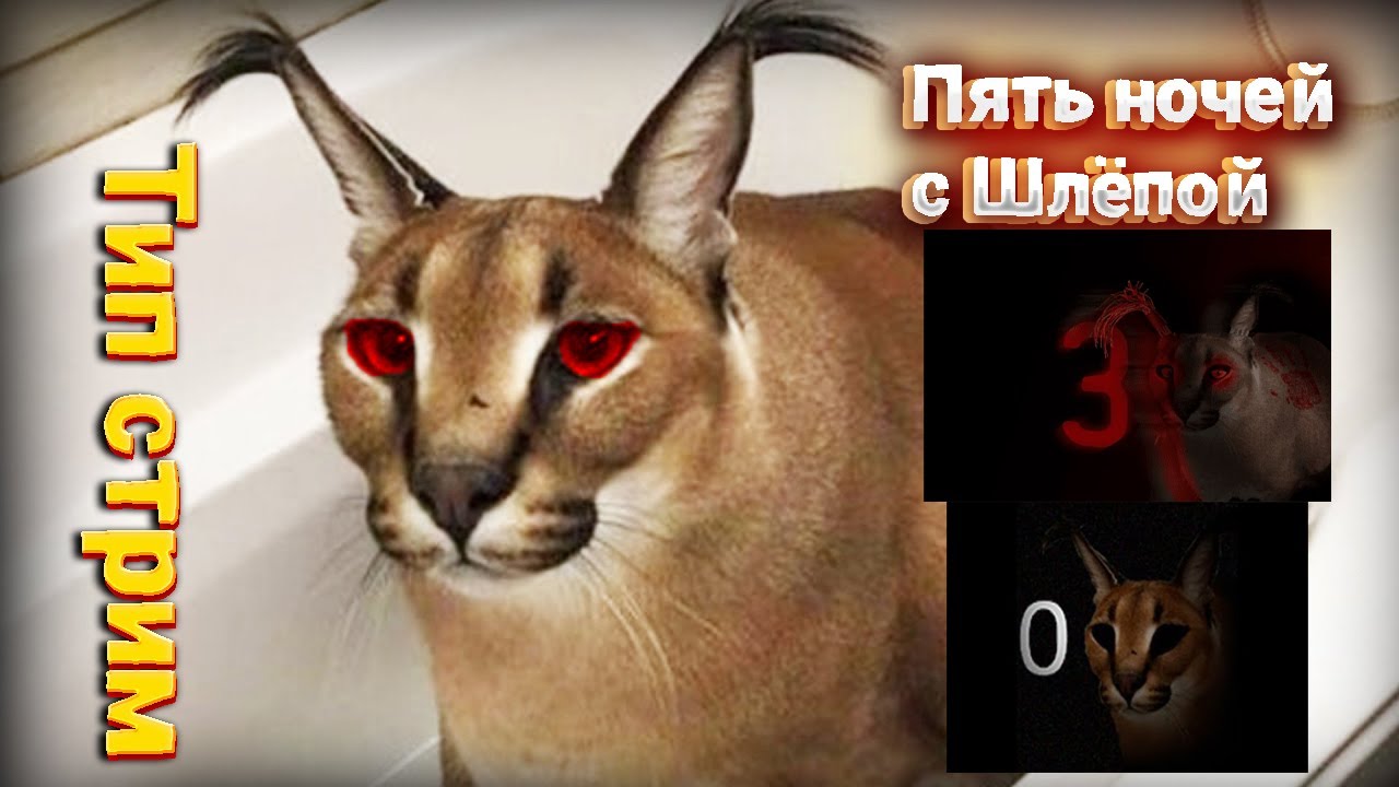 Ночей у шлепы. Ночей у шлепы