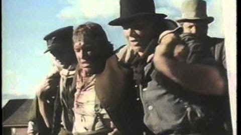 The Story of Phineas Gage VTS 02 1