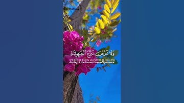{يَا نِسَاءَ النَّبِيِّ لَسْتُنَّ كَأَحَدٍ مِّنَ النِّسَاءِ } [الأحزاب : 32-34}القارئ ماهر المعيقلي