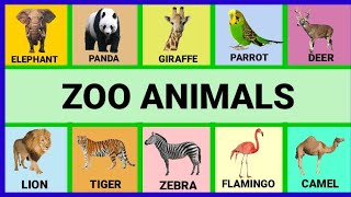 ZOO ANIMALS FLASHCARDS IN ENGLISH FOR KIDS