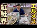 紅鮭界のエルメス！豊洲・築地魚河岸でしか食べれない高級鮭とは?!お土産に人気