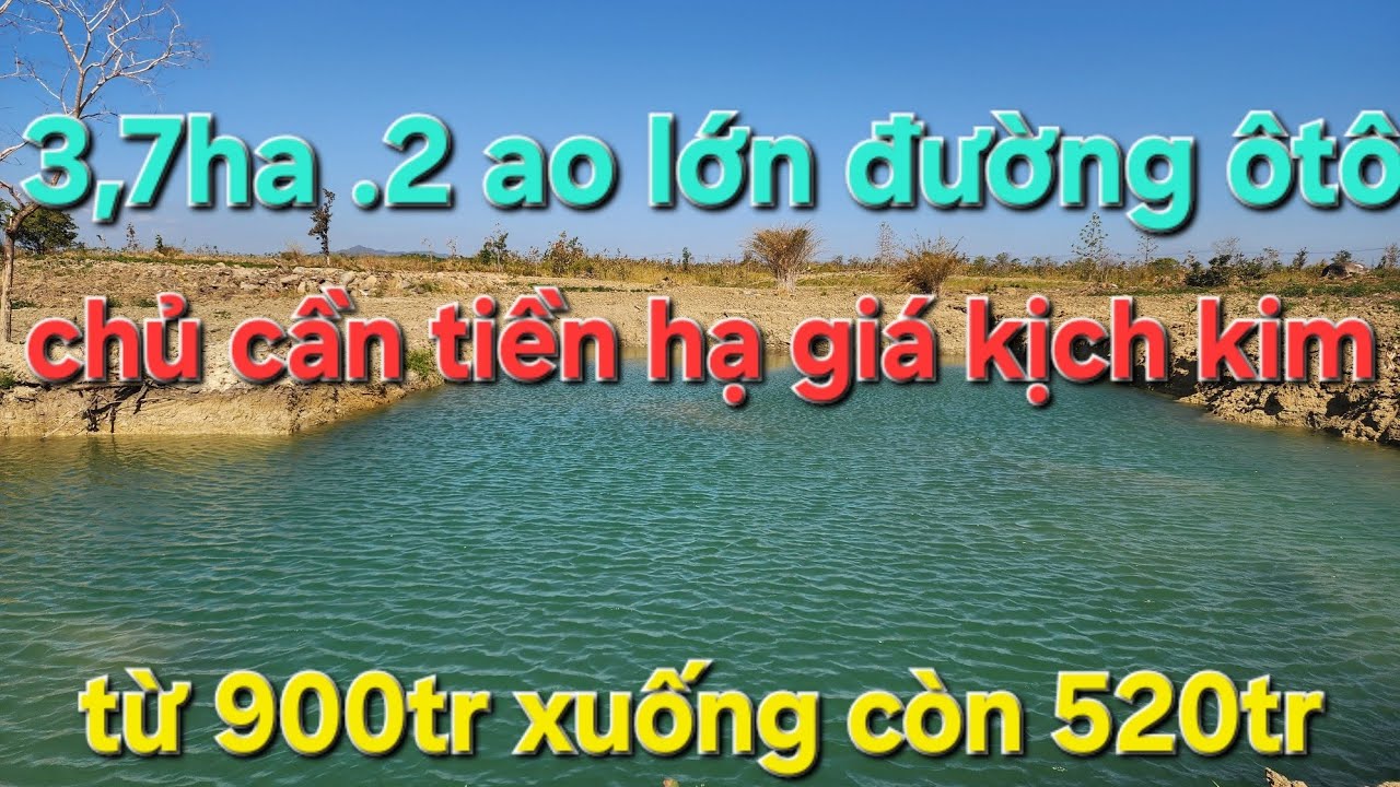 (đã bán)Chủ cần tiền hạ giá kịch Kim. 3,7ha .2 ao lớn. Đường ôtô. ACE quan tâm alô cho em ạ 