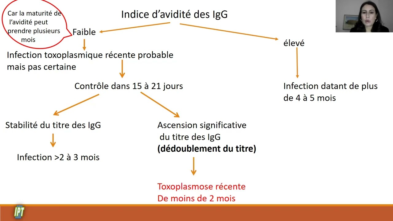 Toxoplasmose et grossesse Pr Rym Ben Abdallah Tunisie