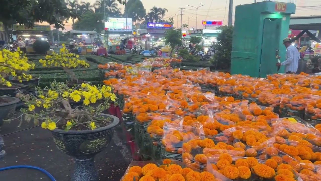 Chợ Hoa 28 Tết rất đẹp và nhiều Hoa đẹp 