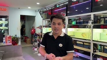 Chăm sóc Ng.ân lo.ng albino đúng cách