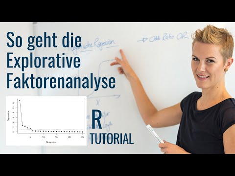 Die Explorative Faktorenanalyse mit R für die Untersuchung von Fragebögen