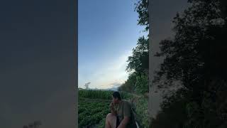 Ning Magetan Snail Stall shorts magetansnails