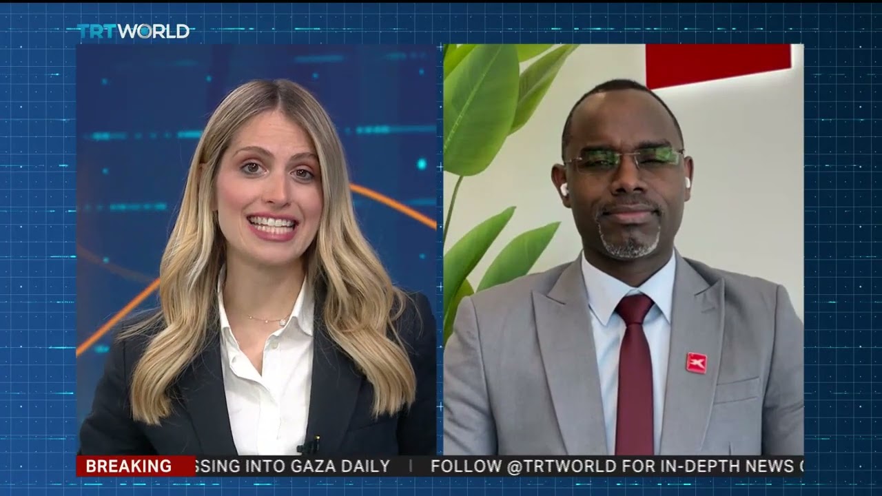 Still from Egypt's Economic Situation: Analysis and Outlook