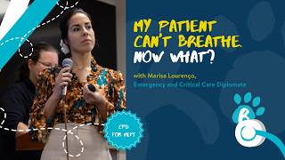 My Patient Can't Breathe.  Now What?