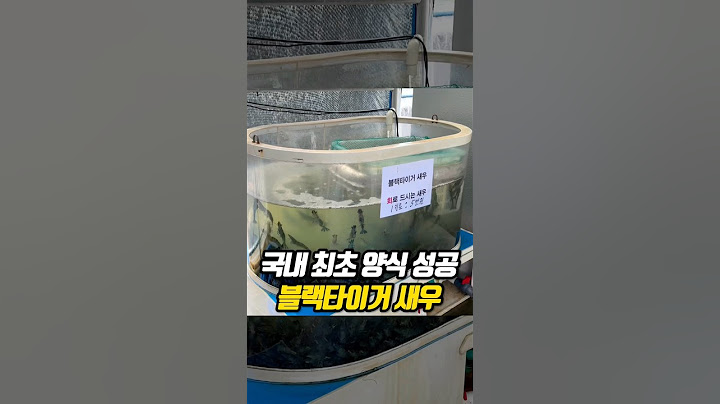 국내 최초! 블랙타이거 새우 양식 성공! 유일한 블랙타이거 생새우를 아시나요?