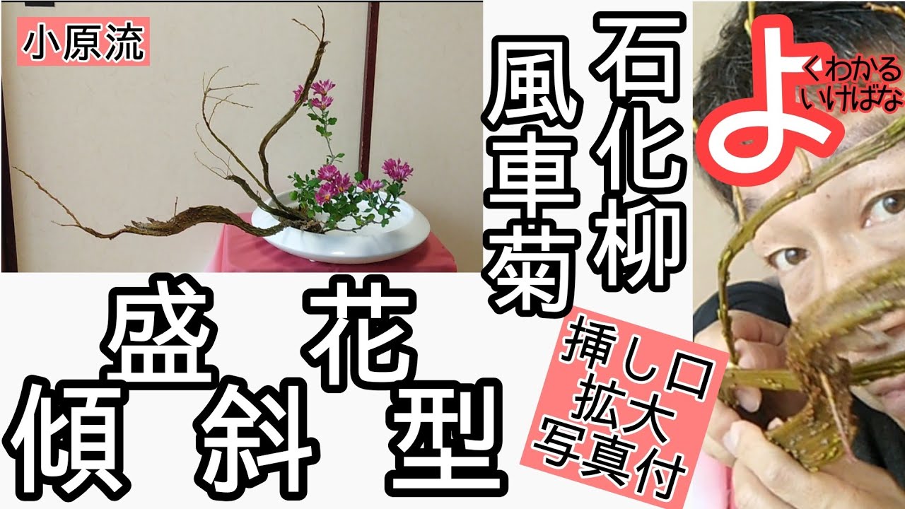 【よくわかる生け花】いけばな小原流 盛花　傾斜型　石化柳　風車菊　の自宅稽古動画です。 始めよういけばな　レッスン！