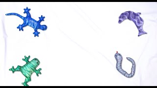 New 2-In-1 Turtle Manimo