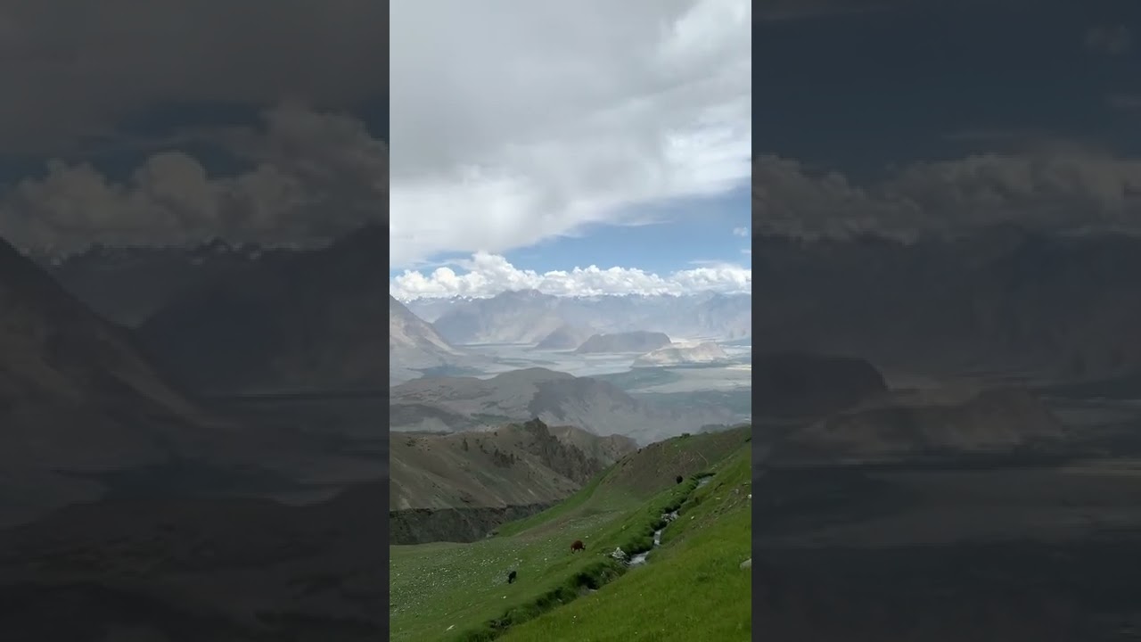 Who like this place ? 