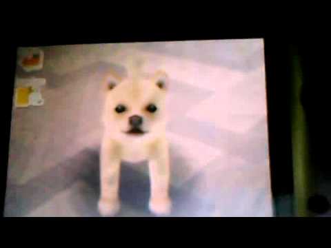 Hoe u uw Nintendog Beg Teach
