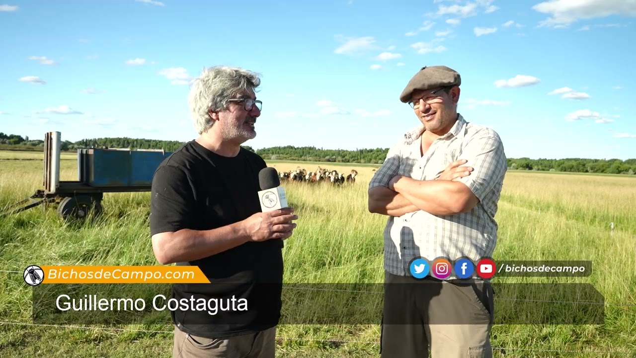 Guillermo Costaguta, productor ganadero de Luis Beltrán en Río Negro