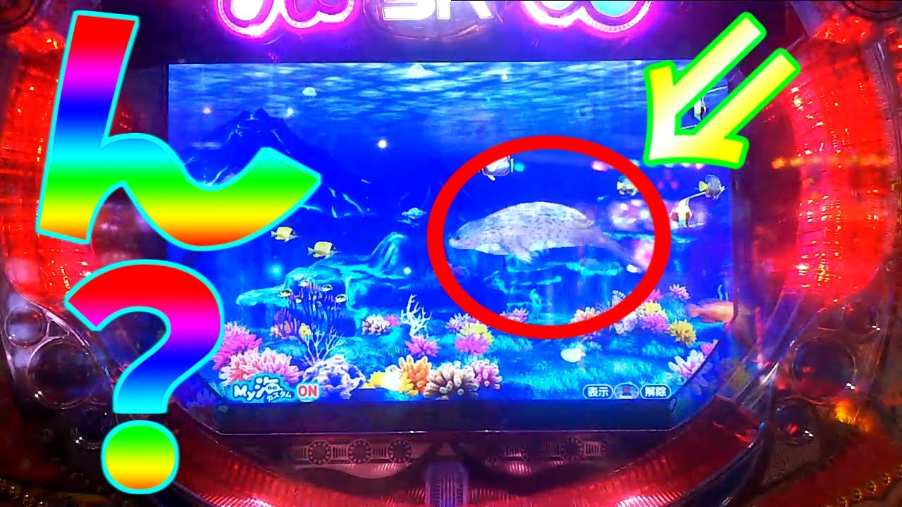 パチンコ】PA海物語3R2 / たくさんのプレミアみたさに3R2を打ち込む男