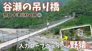 [ 奈良 十津川村 1泊2日の車旅 ]　#1 谷瀬の吊り橋から野猿まで　～『野猿』って知ってますか？(^^;) ～