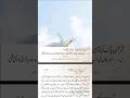 قرآن پاک کی توہین کرنے والے کی سزا || Quran Pak ki tauheen krny waly ki saza #islamicshorts #quran