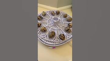 I’m Hatching Quail Eggs 🥚