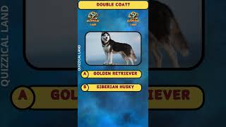 Bark or Bone Up? Guess the Dog Breed By One Clue!