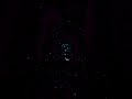 Moon transiting Pleiades star cluster #moonoccultation #astronomy