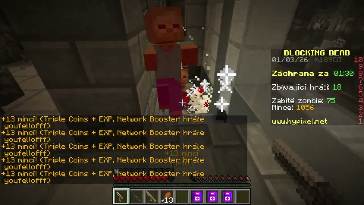 Hypixel - Blocking Dead - Full Screen #58