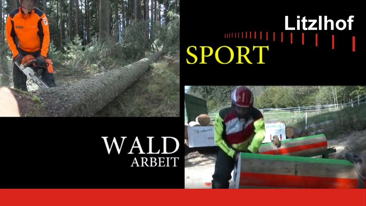 Waldsport