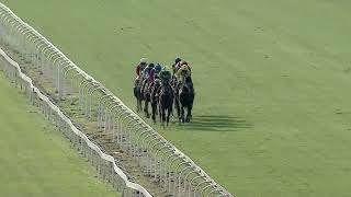 Vidéo de la course PMU PRIX RACEHORSE OWNERS ASSOCIATION STAYERS