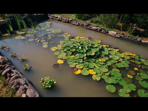 Видео: Описание и снимки на ботаническата градина на университета - Финландия: Oulu