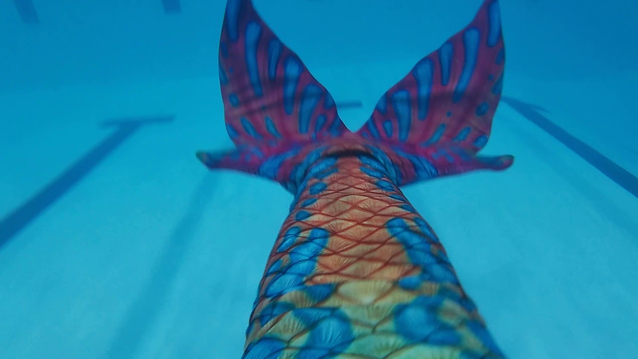 Mandarin Goby Tail