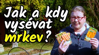 Jak A Kdy Správně Vysévat Mrkev, Aby Rychle Vzklíčila?