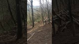 Kerovi U Gateru..vidra I Lisa...