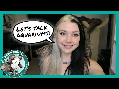 amphibians nedir LIVE Chat with Jennie from Solid Gold Aquatics