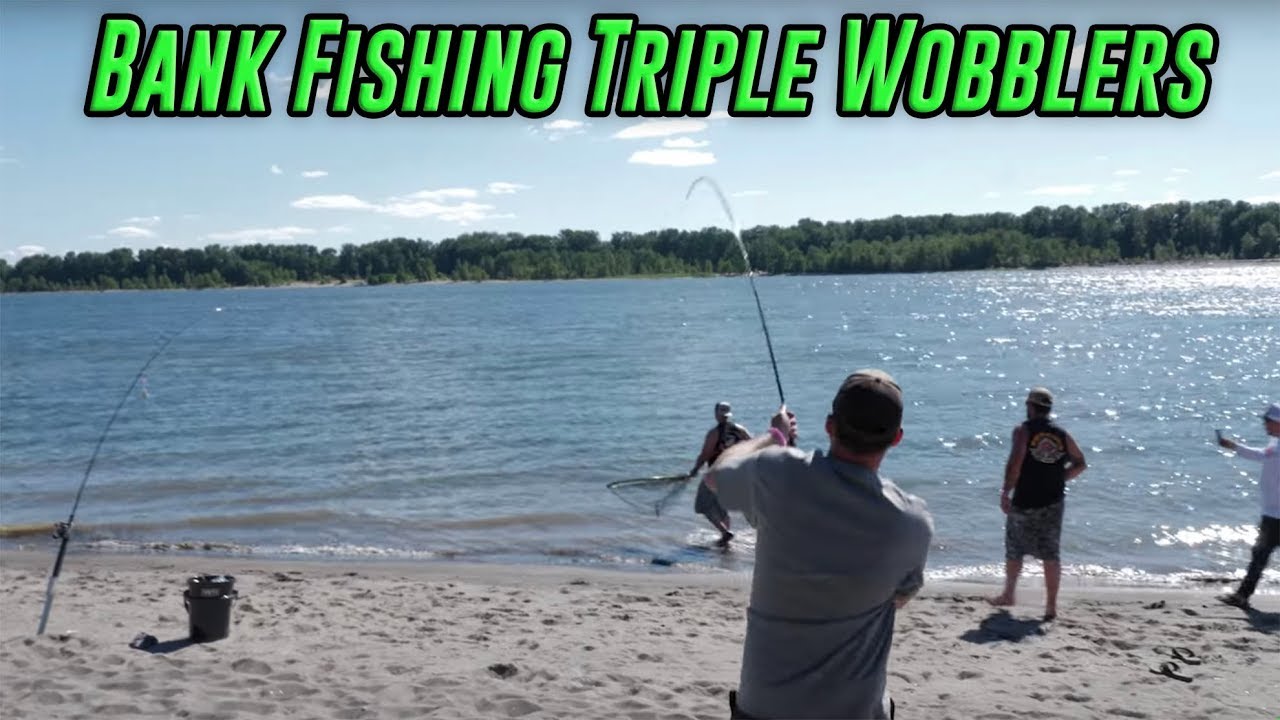 How To Fish 3 Wobblers At Once Bank Fishing Salmon 