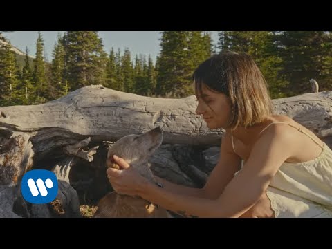 Смотреть клип Vance Joy - Looking At Me Like That