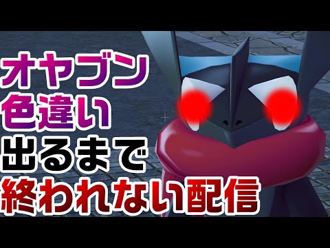 【ZA】ひかおまありでオヤブン色違い厳選します【レジェンズZA】
