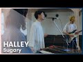 HALLEY - Sugary | LIV