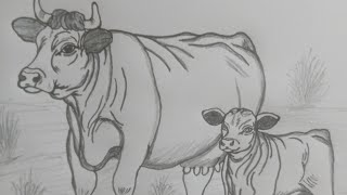 How to Drawing cow 'step by step' @How.to.drawing