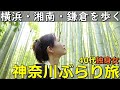 ４０代独身女【横浜ぶらり旅】鎌倉湘南横浜を歩く