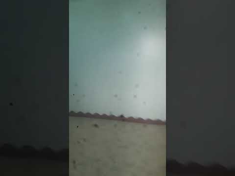 شقه للايجار بالبر الشرقى بشبين الكوم