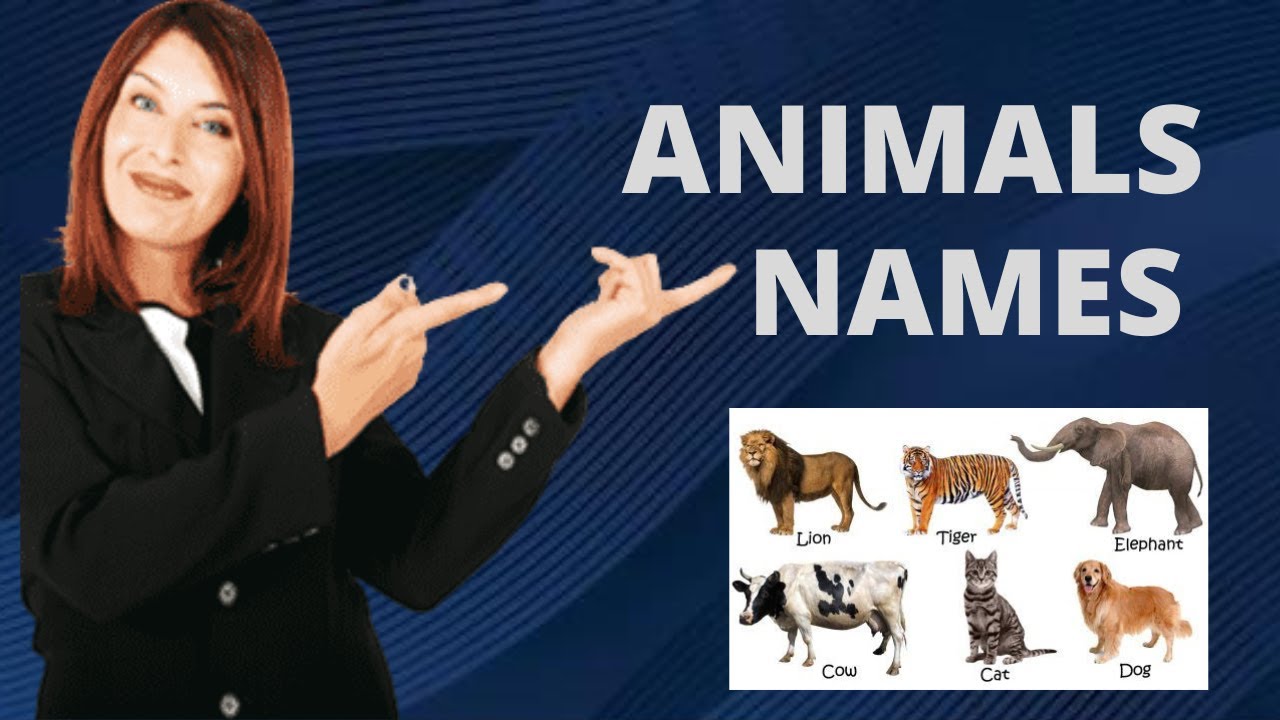 Animal Names and Sounds for Kids in English - Learn Animal Names | Learn Animals names with Pictures