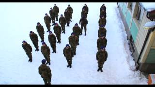 Best Harlem Shake ( Original Army Edition )