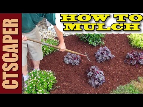 HOW TO MULCH A NEW LANDSCAPE