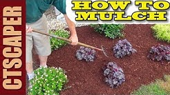 HOW TO MULCH A NEW LANDSCAPE 